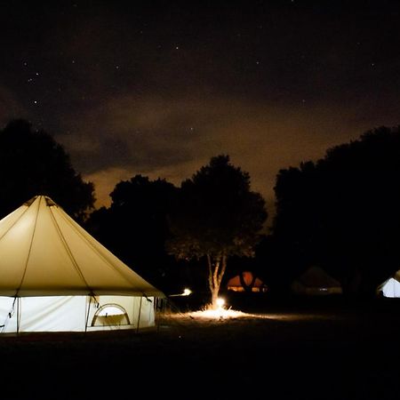 Lodg'Ing Nature Camp Luberon Saint-Michel-l'Observatoire Ngoại thất bức ảnh