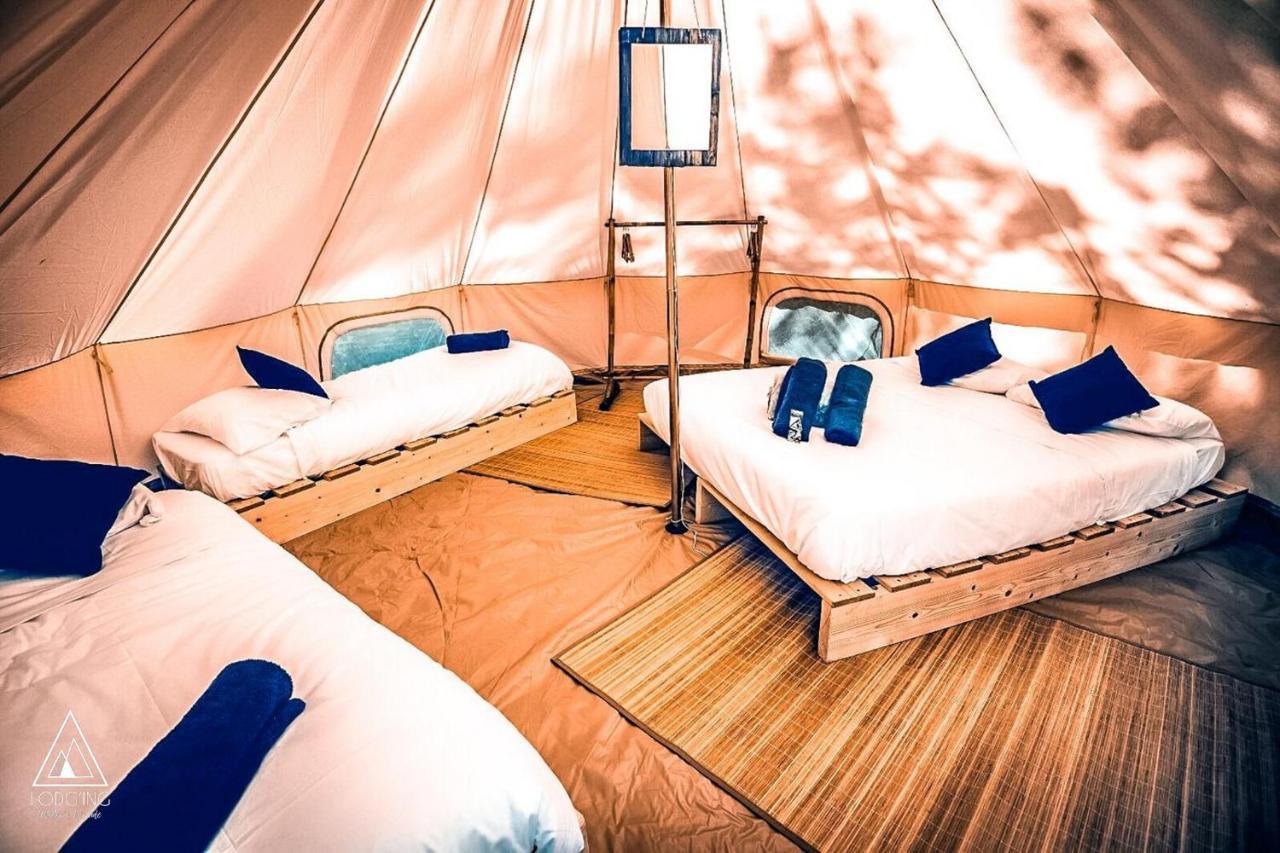 Lodg'Ing Nature Camp Luberon Saint-Michel-l'Observatoire Ngoại thất bức ảnh