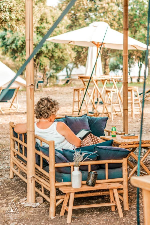 Lodg'Ing Nature Camp Luberon Saint-Michel-l'Observatoire Ngoại thất bức ảnh