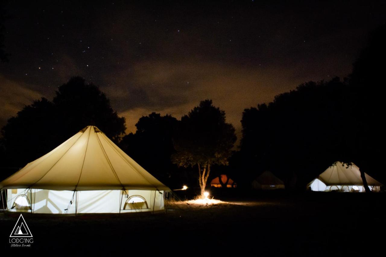 Lodg'Ing Nature Camp Luberon Saint-Michel-l'Observatoire Ngoại thất bức ảnh