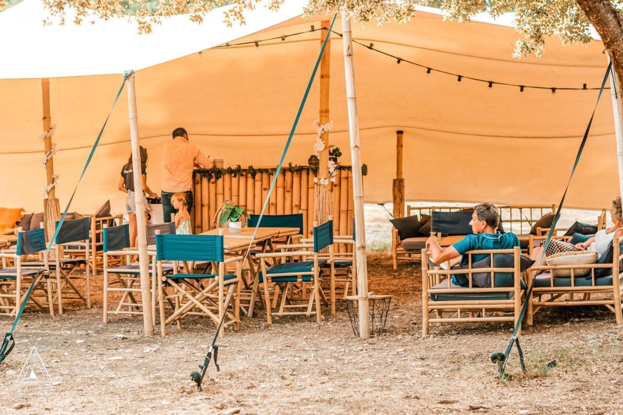Lodg'Ing Nature Camp Luberon Saint-Michel-l'Observatoire Ngoại thất bức ảnh