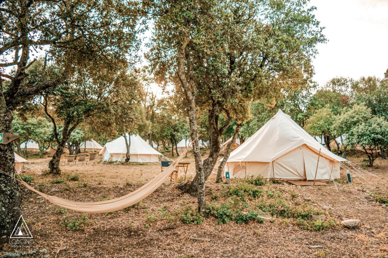 Lodg'Ing Nature Camp Luberon Saint-Michel-l'Observatoire Ngoại thất bức ảnh