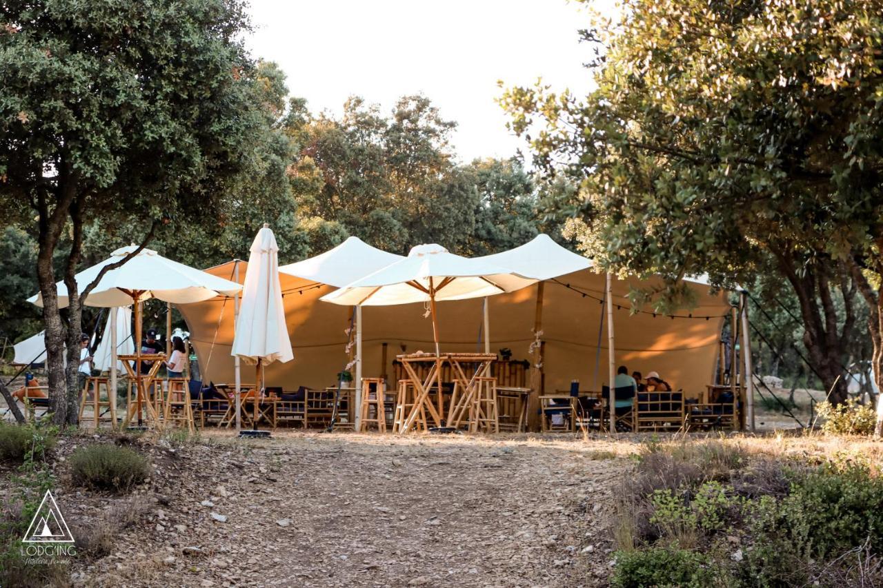 Lodg'Ing Nature Camp Luberon Saint-Michel-l'Observatoire Ngoại thất bức ảnh