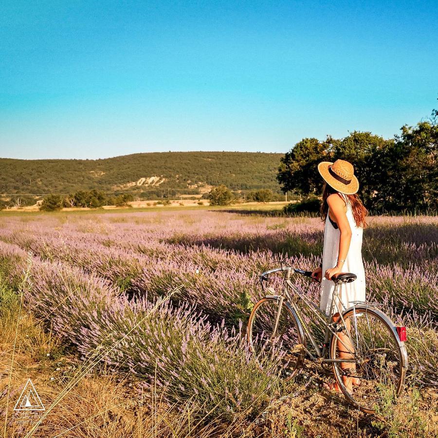 Lodg'Ing Nature Camp Luberon Saint-Michel-l'Observatoire Ngoại thất bức ảnh