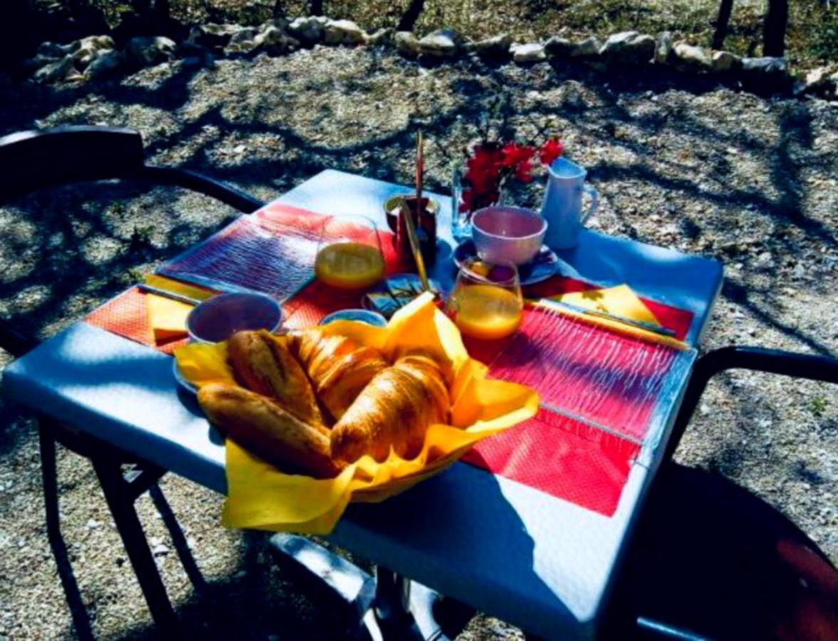 Lodg'Ing Nature Camp Luberon Saint-Michel-l'Observatoire Ngoại thất bức ảnh